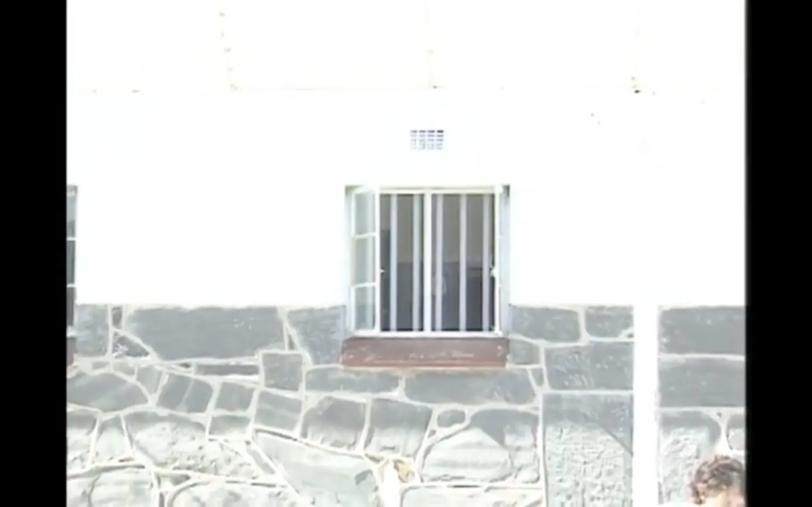 Conversion of Prison Sentences and the Purpose of Punishment