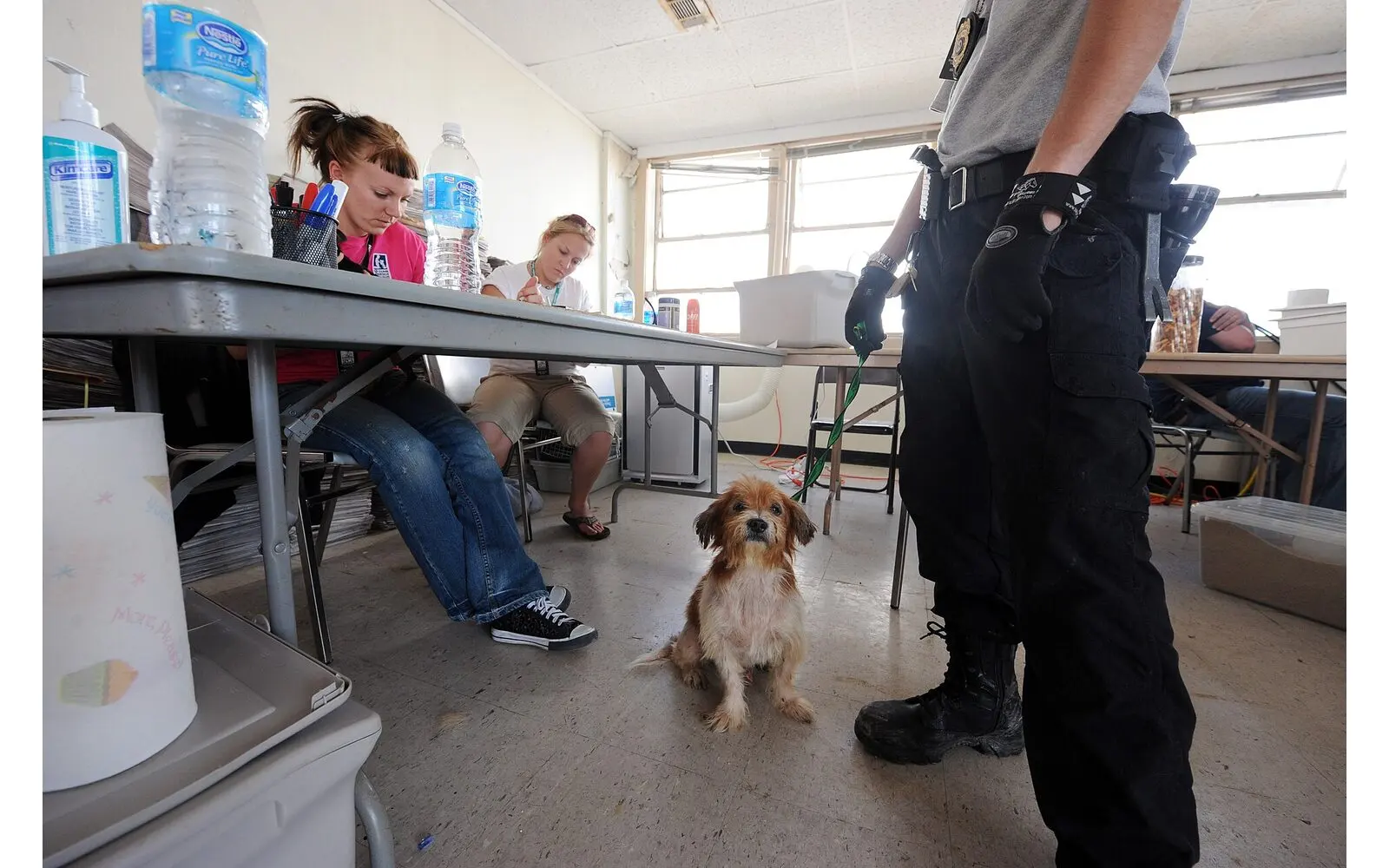 Law 4039/2012 and the protection of animals