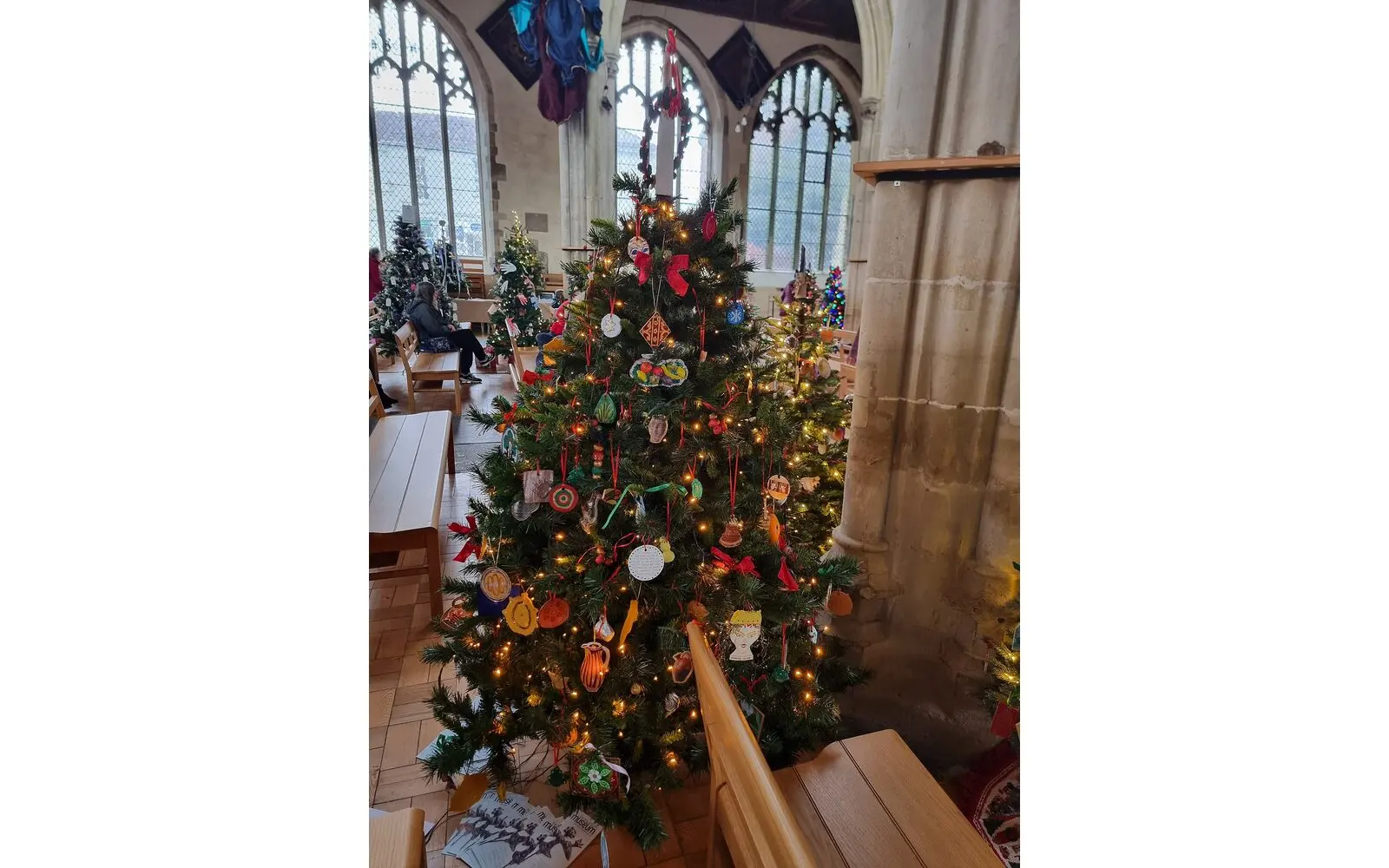 Natural Christmas Tree in a Pot