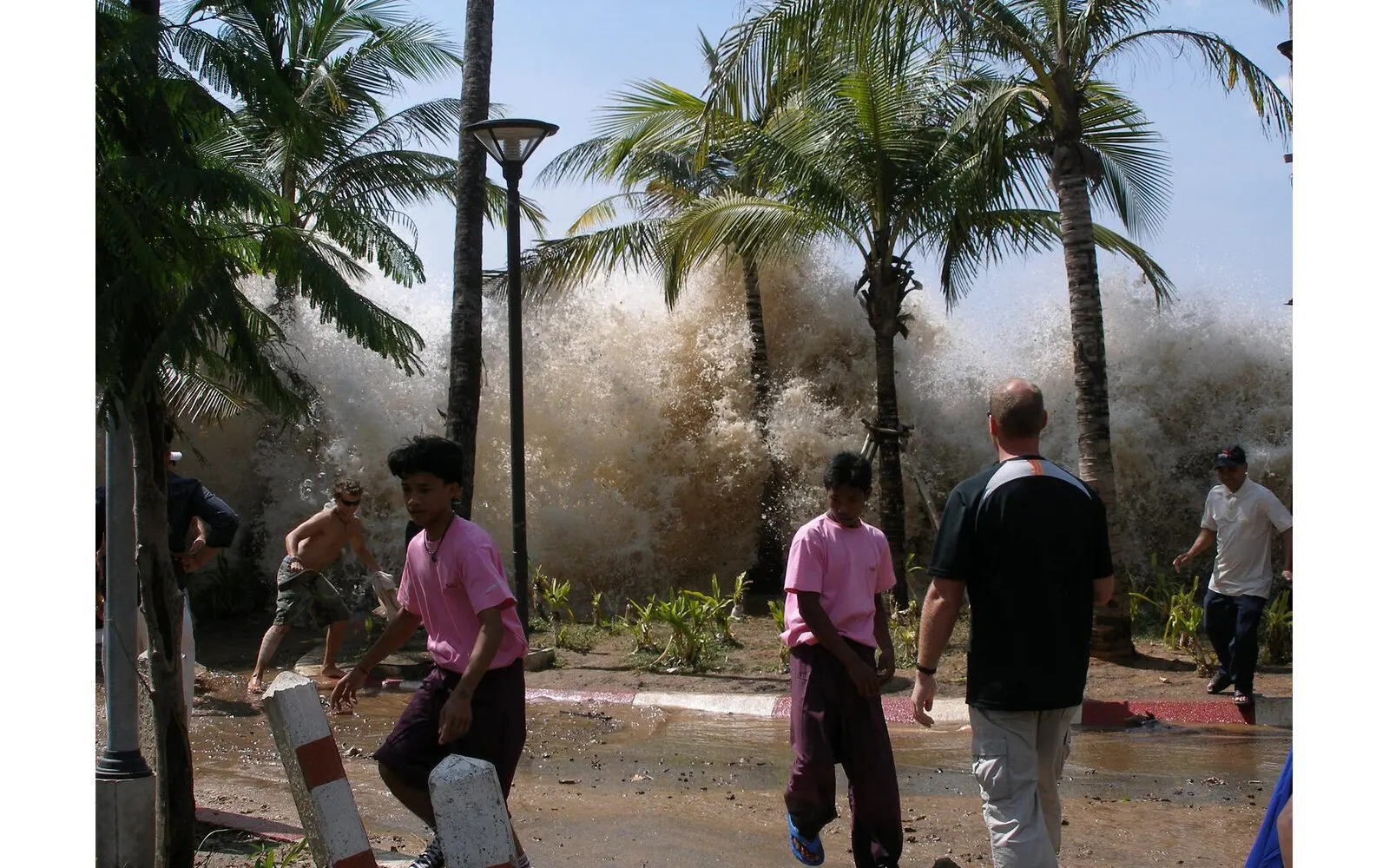 The Tsunami, Christmas and the Economic Crisis
